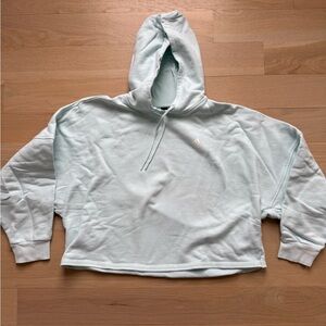 Adidas Light Blue Hoodie